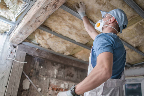 Best Types of Insulation in South Lebanon, OH