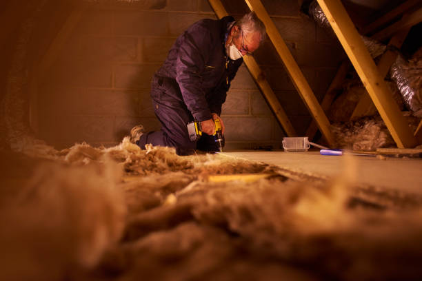 Best Insulation Installation Services in South Lebanon, OH